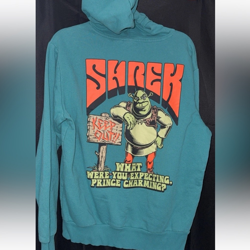 Shrek Graphic Men's Sweater - Teal hoodie small